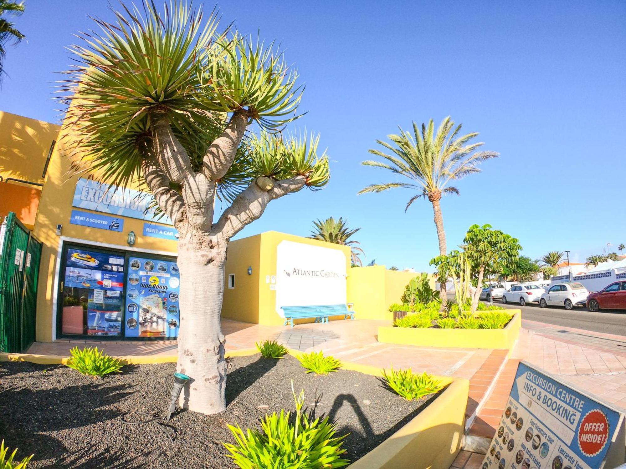 Drago 1 Atlantic Garden Apartment Corralejo Luaran gambar